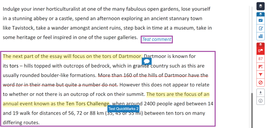 Screenshot of the display of the feedback types (highlighted) on a student submission within Turnitin.