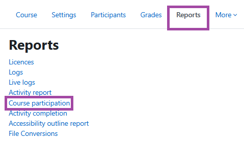 Screenshot of the ‘Report’ menu and ‘Course participation’ sub-menu (highlighted) in the DLE (Moodle).