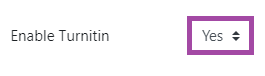 Screenshot of the ‘Enable Turnitin’ setting, highlighting ‘Yes’.
