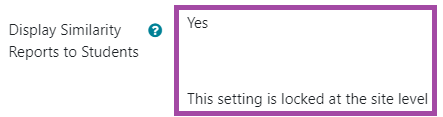 Screenshot of the ‘Display Similarity Reports to Students’ setting, highlighting ‘Yes’.