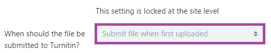 Screenshot of the ‘When should the file be submitted to Turnitin?’ setting, highlighting ‘Submit file when first uploaded’.