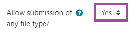 Screenshot of the ‘Allow submission of any file type’ setting highlighting, ‘Yes’.