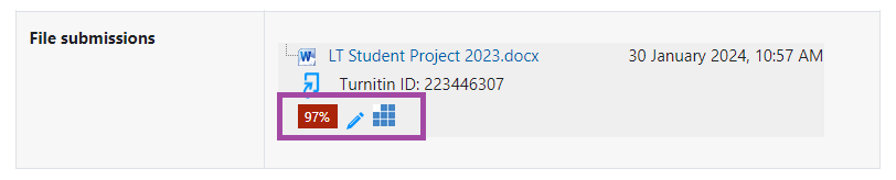 Screenshot of the display of the submission (highlighted) and of the Turnitin icons (highlighted) under it within an ‘Assignment’ activity of the DLE.