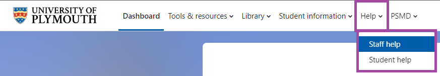 Screenshot of the ‘Help’ menu and ‘Staff help’ sub-menu (highlighted) in the top navigation bar of the DLE.
