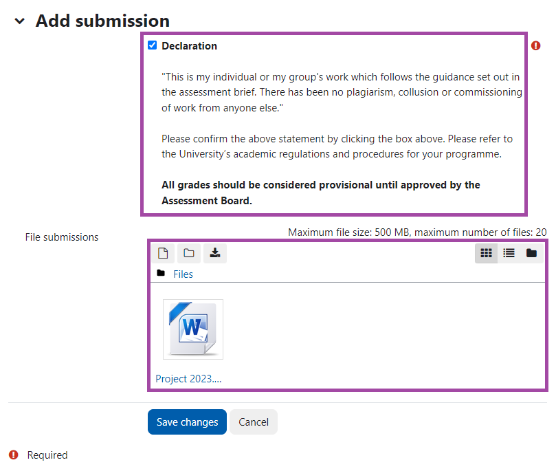 Screenshot of the Submission page (’Declaration’ and ‘File submissions’ sections) (highlighted).