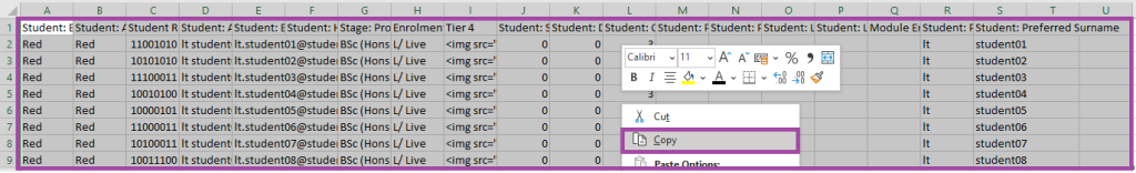Screenshot of copying content to the clipboard (highlighted) in Excel.