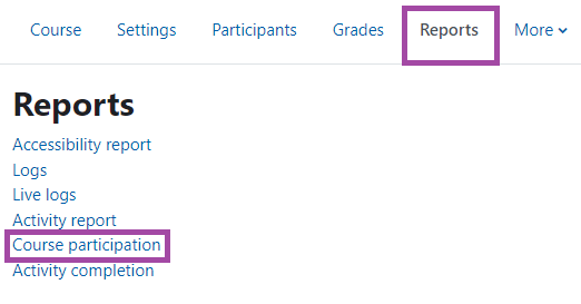 Screenshot of the ‘Report’ menu (highlighted) in the DLE (Moodle).