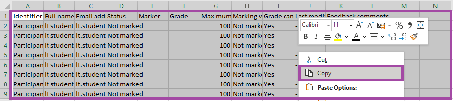 Screenshot of copying content to the clipboard (highlighted) in Excel.