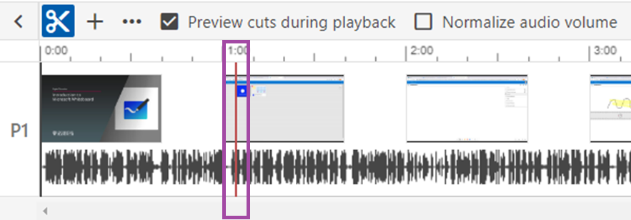 Screenshot of Panopto editor timeline