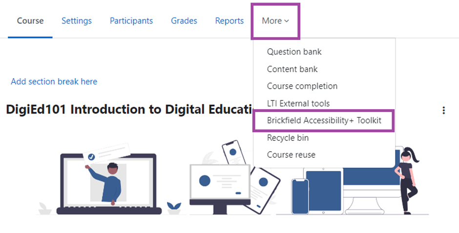 Screenshot of the Digital Learning Environment, with the ‘More’ tab highlighted in the secondary menu. Also ‘Brickfield Accessibility+ Toolkit’ as a drop down menu item is highlighted.