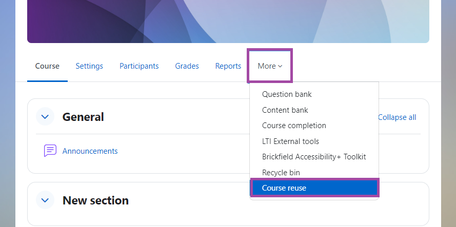 Screenshot of the DLE with ‘More’ highlighted in the secondary menu, with ‘Course reuse’ highlighted in the drop down menu.