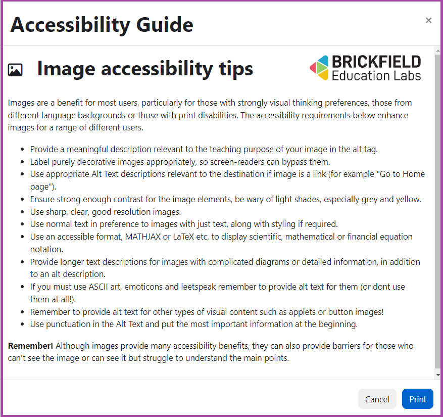 Screenshot of Brickfield Accessibility Guide.