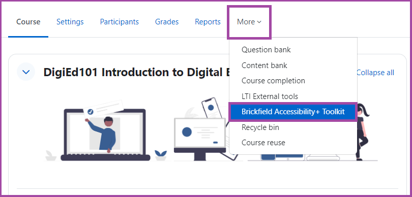 Screenshot of the Digital Learning Environment, with ‘More’ highlighted in the secondary menu and ‘Brickfield Accessibility+ Toolkit’ highlighted in the drop down menu.