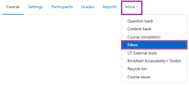 Screenshot of the ‘More’ menu within the secondary navigation bar (highlighted) and the ‘Filters’ option within its drop-down list (highlighted).