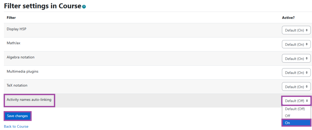 Screenshot of enabling auto-linking within the ‘Filters’ (highlighted).