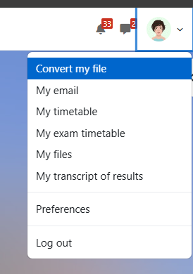 Screen shot of the user menu with Convert my file selected